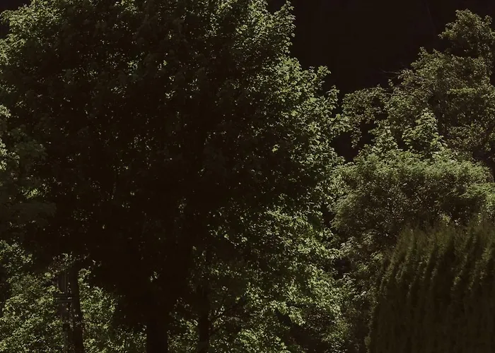 Appartamento Lebe' *