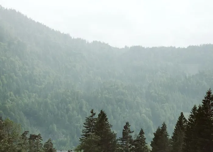 アパート Lebe' *